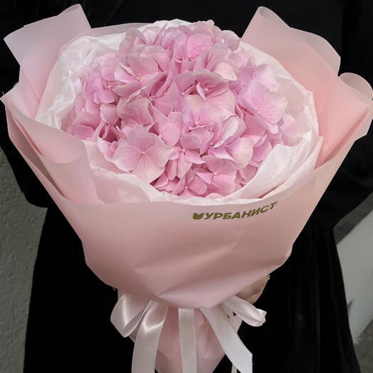 Гортензия нежно розовая💖