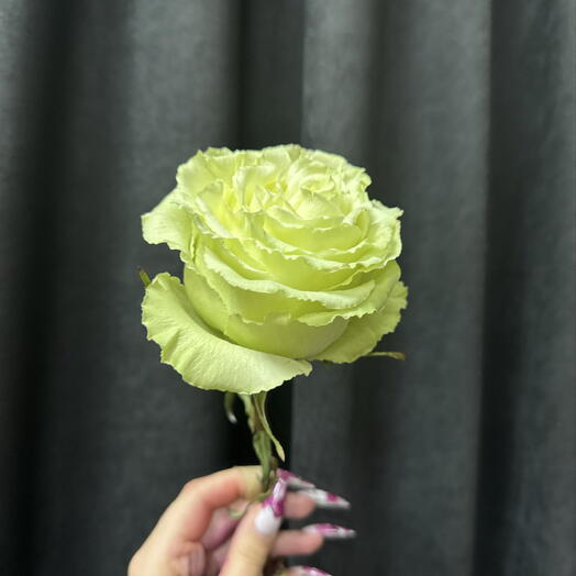 Роза для Марины