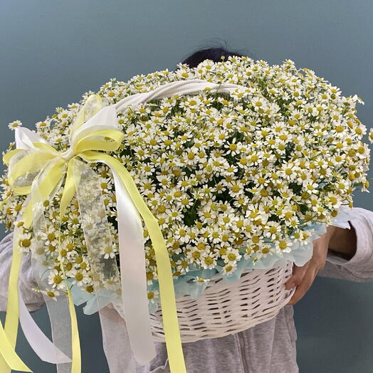 Корзина с ромашками