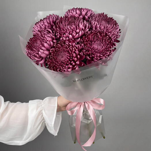 Букет из 7 сливовых хризантем сорта «Бигуди» от XOFLOWERS