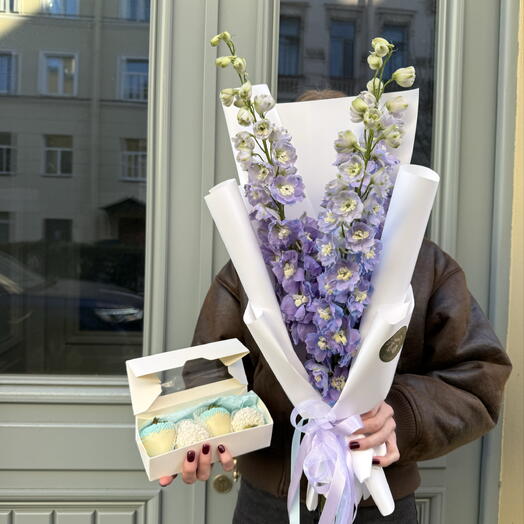 Принцесса лебедь (набор с дельфиниумом и клубникой в шоколаде)
