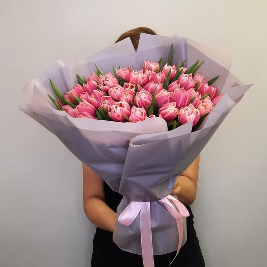 Pink tulips
