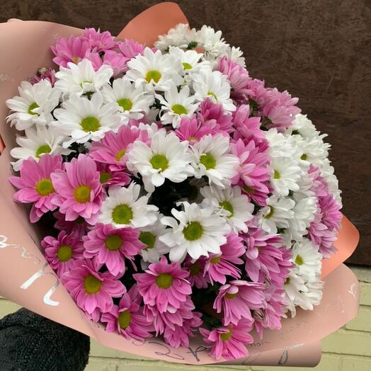 Букет из 21 кустовой хризантемы