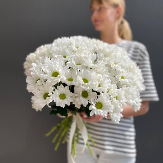 9 bush chrysanthemums