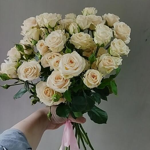 "7 rosas arbustivas"