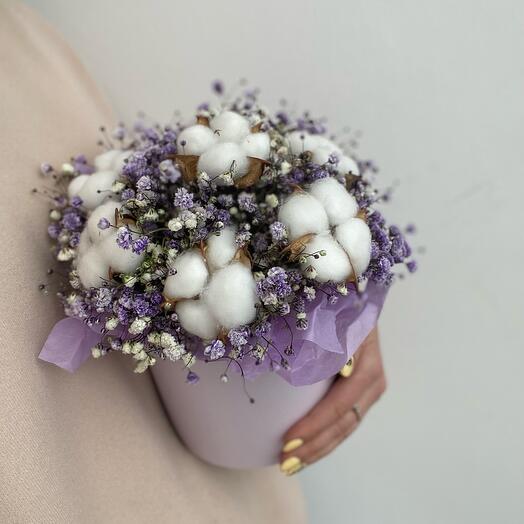 Cotton Box