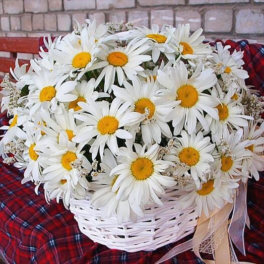 Букет ромашек фото скачать бесплатно Корзина с цветами, Flowers & Gifts Belgorod, buy at a price of 7300 RUB, Flowers