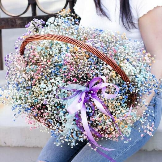 Basket mix gypsophile