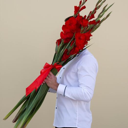 Красные гладиолусы, 5 шт