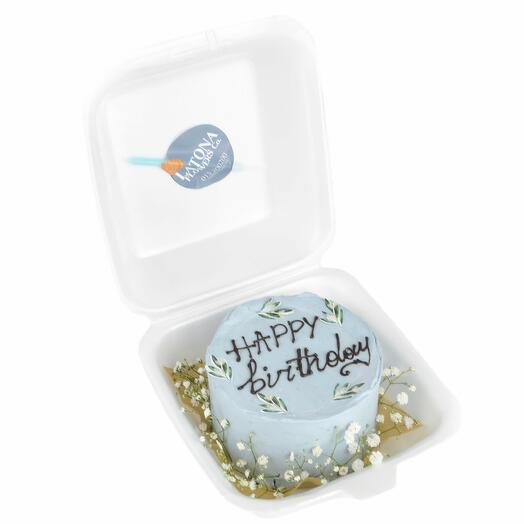 Bento cake with plaster