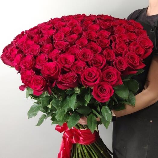 Ramo 101 rosa 80cm Explorer