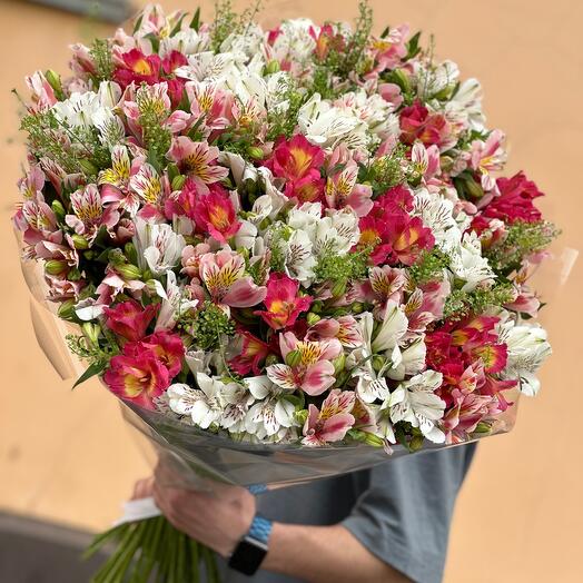 51 разноцветная альстромерия 🌹