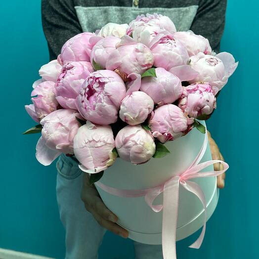 21 peonies in a box