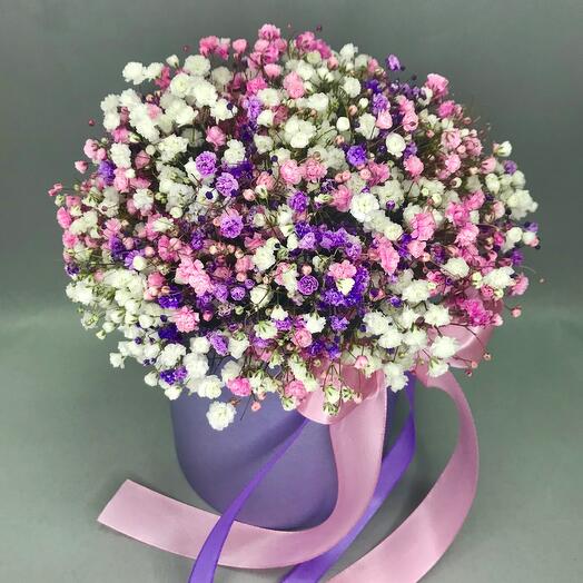 Composition of gypsophila 037