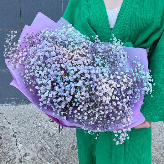 Bouquet of gypsophila watercolor