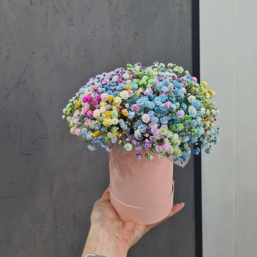 Gypsophila in a box