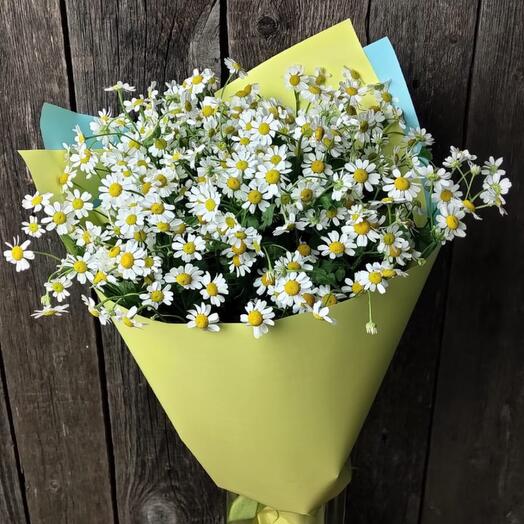 Букет из ромашек Камилла
