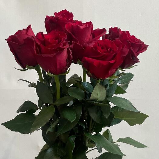 Букет из 7 красных роз Эквадор 70 см