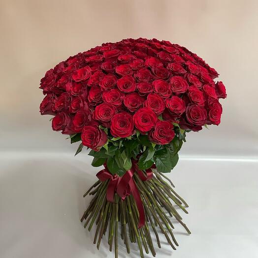 101 Роза Эквадор