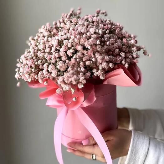 Коробочка розовой гипсофилы