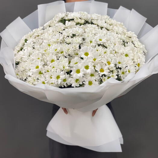 51 camomile chrysanthemums bouquet