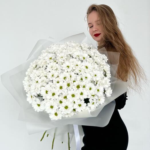 25 кустовых ромашек