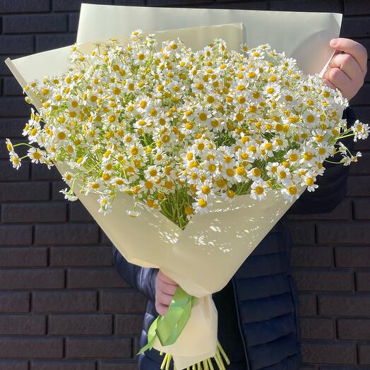 Букет ромашек 🌼