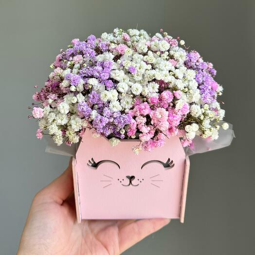 Мягкий котик из гипсофилы