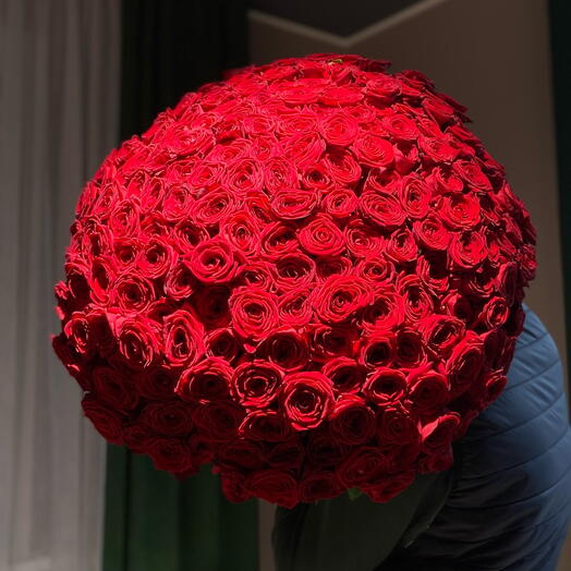 101 Roses 60cm