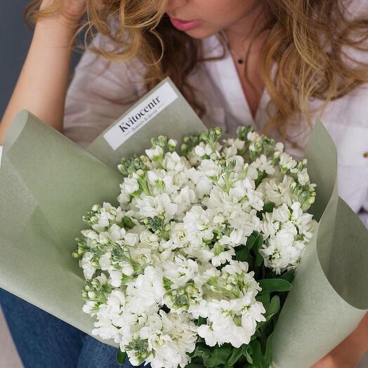 Matthiola white