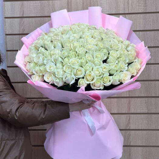 101 WHITE ROSES 101 GENTLE