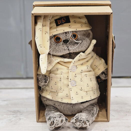 Кот Басик в пижаме