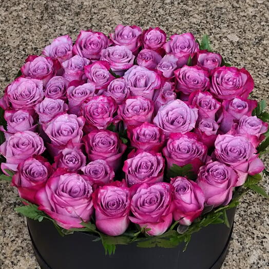 Round Purple Box Arrangement:An arrangement of 50 purple roses  in a round black box