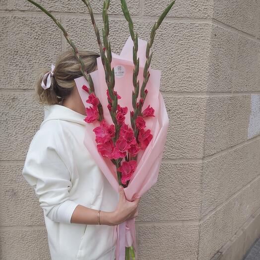 Gladiolus fucsia