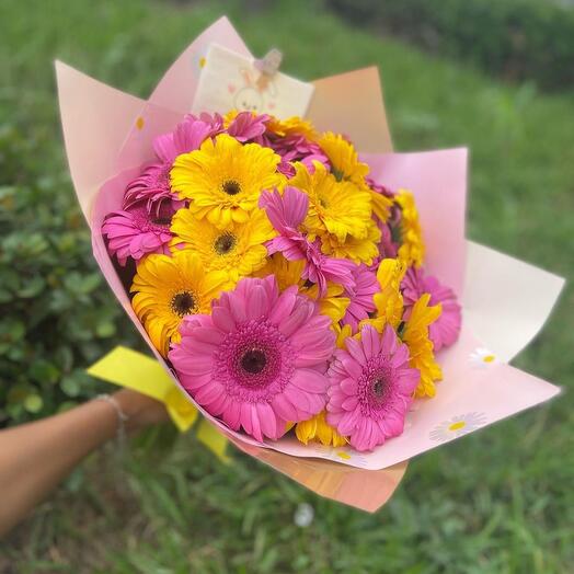 Yellow and purple Gerbera mix