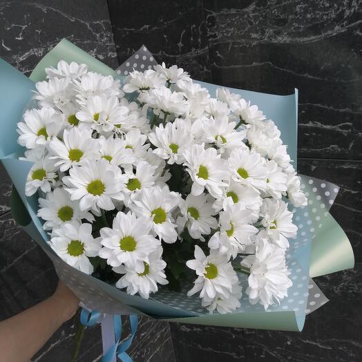7pcs large daisies, chrysanthemum chamomile N19