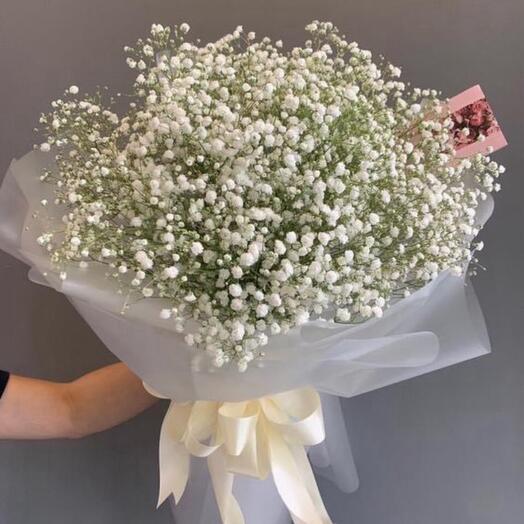 Моно букет из гипсофилии