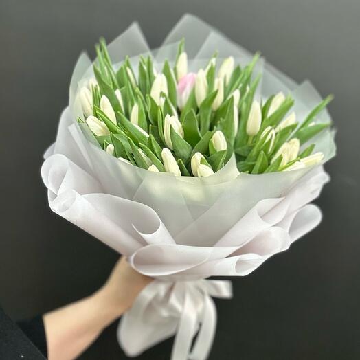 Белые тюльпаны как выглядит цветы
