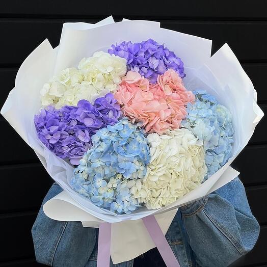 Облачный микс из гортензии