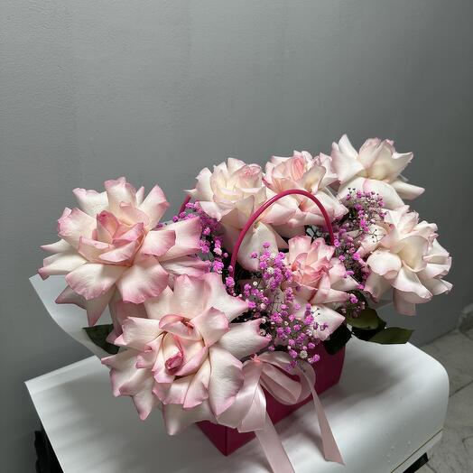 Композиция 100