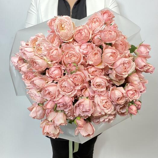 Pink roses