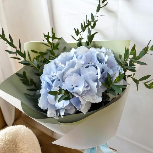 Blue Hydrangea with Eucalyptus