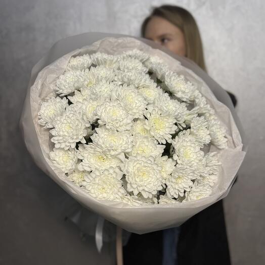 Хризантема кустовая моно