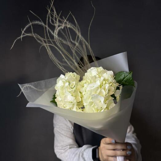 БЕЛАЯ ГОРТЕНЗИЯ💐