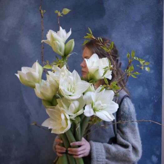 Амариллисы и ветви