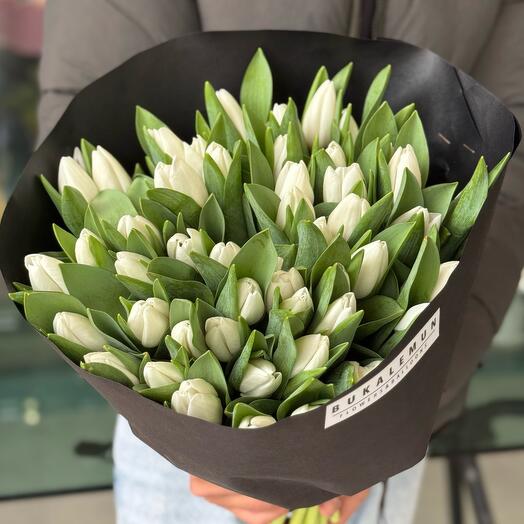 51 white tulips