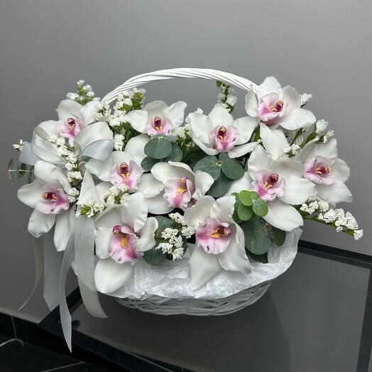 Корзина с цимбидиумом (орхидея) и статицей