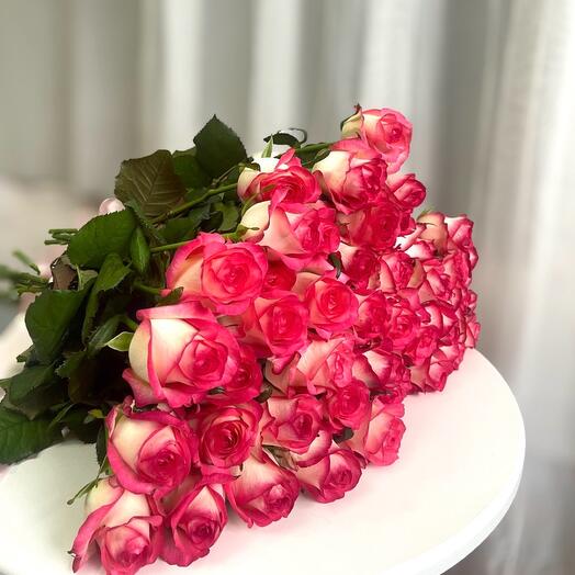 Розовые Розы для неё 🩷