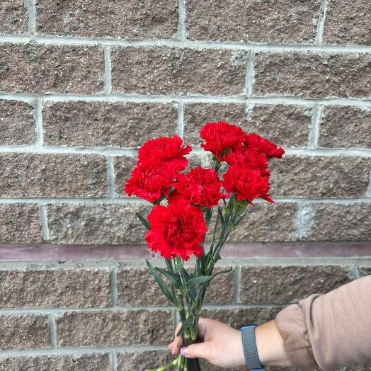 8 Красных Гвоздик (траур)