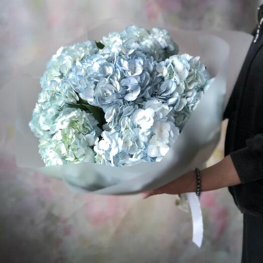 Pale blue hydrangeas